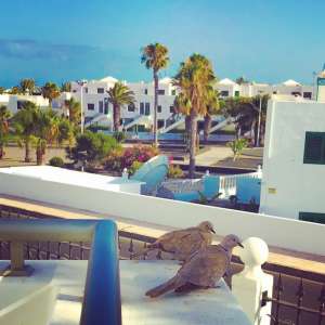 What is a ‘comfortable’ annual income to live well in Lanzarote?
